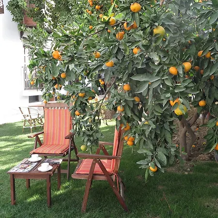 Ephesus Paradise 3* Selçuk