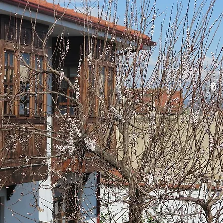 Ephesus Paradise 호텔 3*