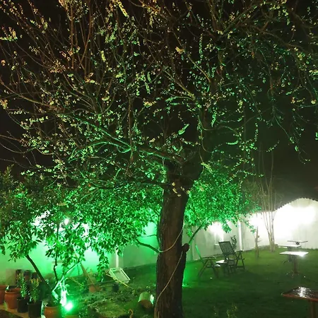 Ephesus Paradise Отель