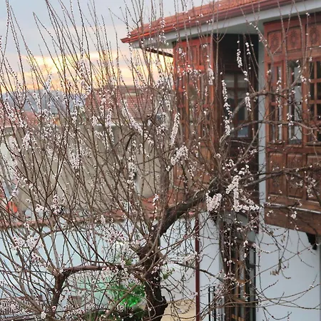 Отель Ephesus Paradise 3*