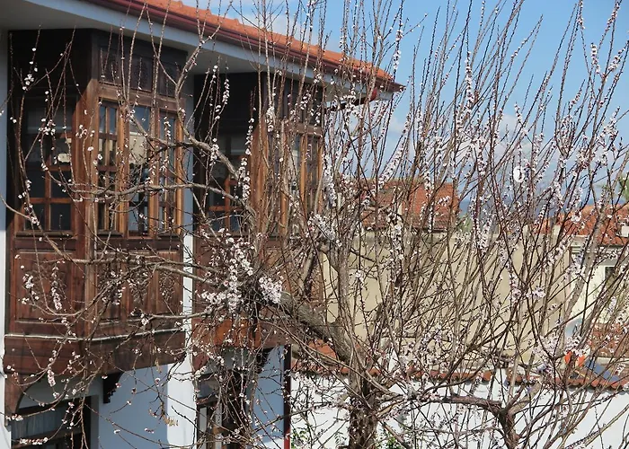 Ephesus Paradise Отель 3*