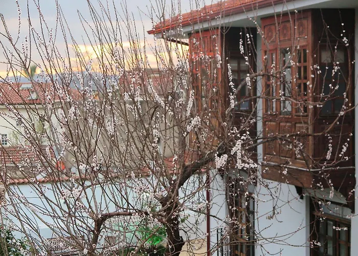 Отель Ephesus Paradise 3*