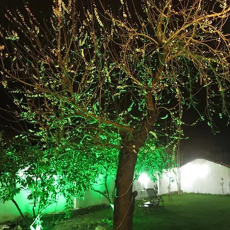 Ephesus Paradise فندق